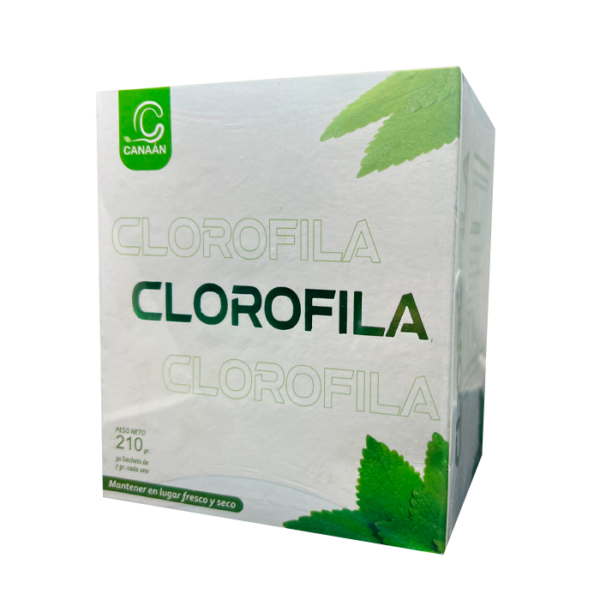 Clorofila